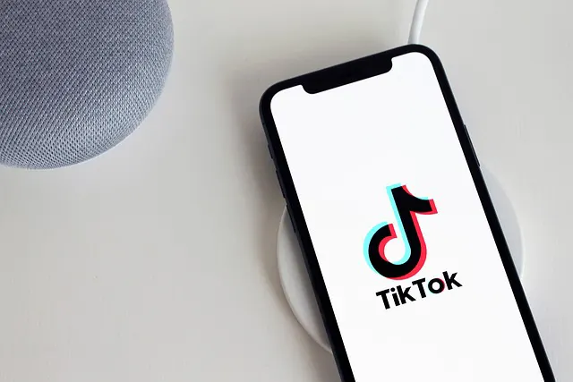 AS Sah Blokir Tiktok